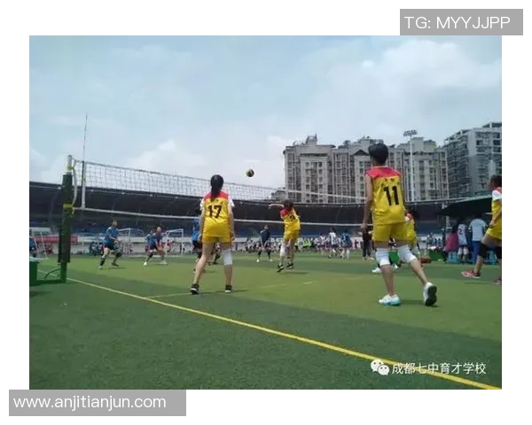 南京排球队灵活性排名创新高引发热议展现团队卓越实力与潜力