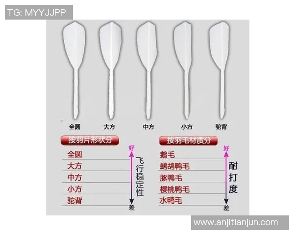 科学羽毛球技术训练的系统方法与实用技巧探讨